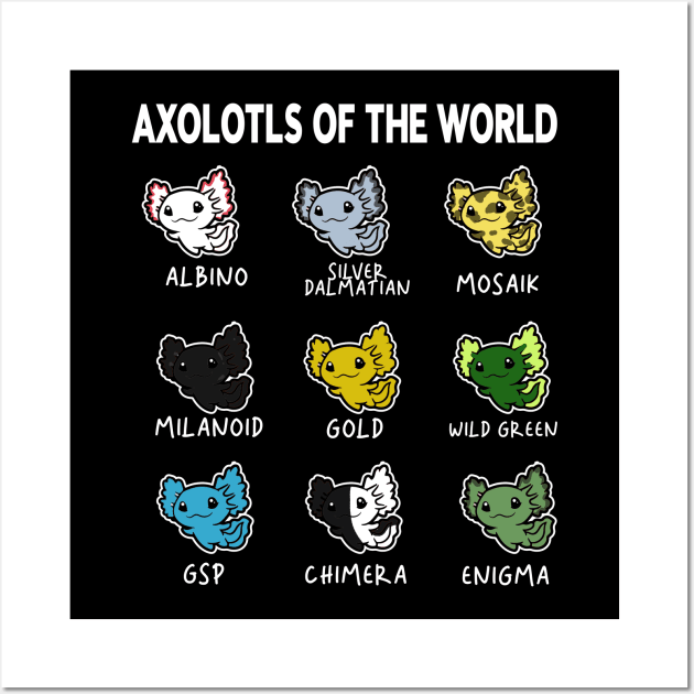 Axolotls Of The World | Types Of Axolotl Wall Art by McKenna Guitar Sales